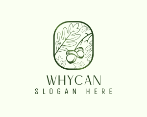 Seedling - Green Acorn Leaf logo design
