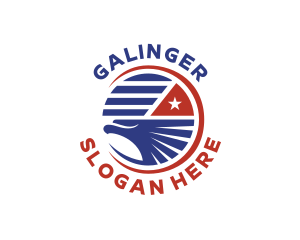 United States Eagle Flag Logo