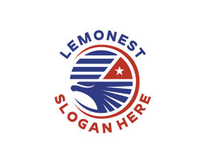 United States Eagle Flag Logo