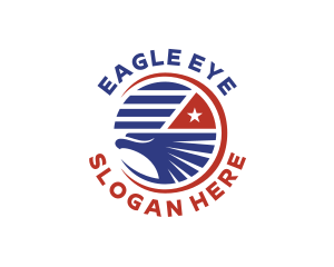 United States Eagle Flag logo design