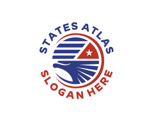 United States Eagle Flag logo design