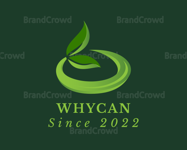 3D Organic Herbal Leaf Logo