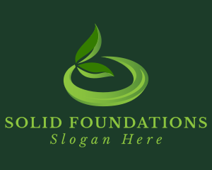 3D Organic Herbal Leaf  Logo