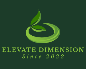 3D Organic Herbal Leaf  logo design