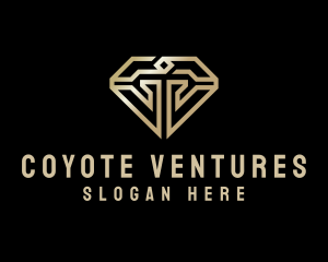 Modern Luxury Diamond logo design