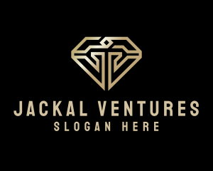 Modern Luxury Diamond logo design