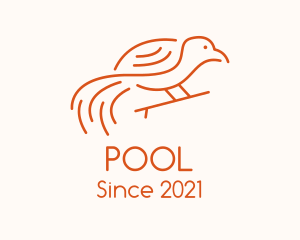 Birdwatcher - Orange Bird Outline logo design