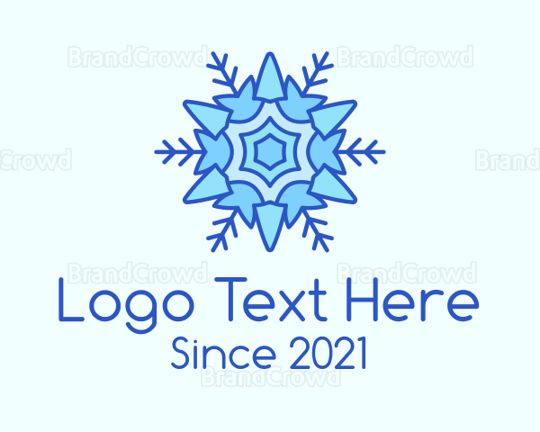 Blue Winter Snowflake Logo