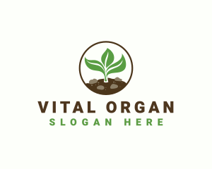 Plant Organic Botanical logo design