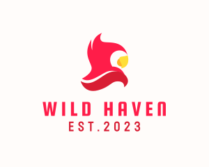 Wild Parrot Bird logo design