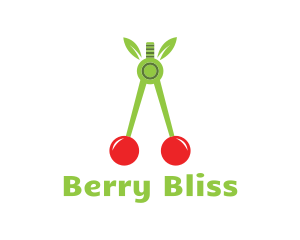 Cherry Fruit Compass logo design