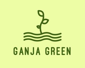 Green Plant Seedling  logo design