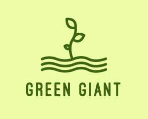 Green Plant Seedling  logo design