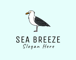Seagull Bird Seaside logo design