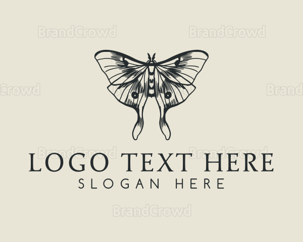 Moth Insect Sketch Logo