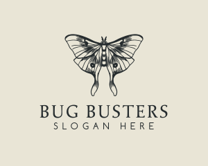 Moth Insect Sketch logo design