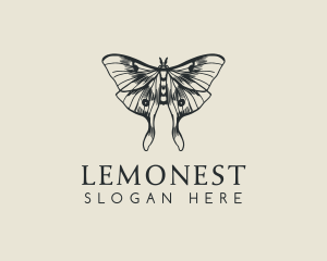 Moth - Moth Insect Sketch logo design