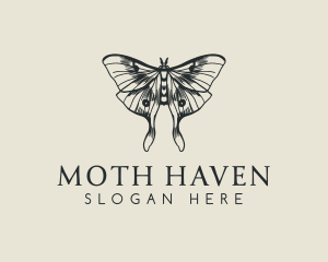 Moth Insect Sketch logo design