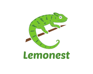 Lizard - Green Chameleon Zoo logo design