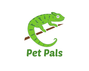 Green Chameleon Zoo logo design