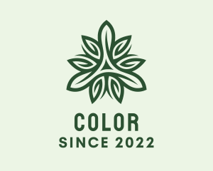 Eco Friendly Gardening Leaf  logo design