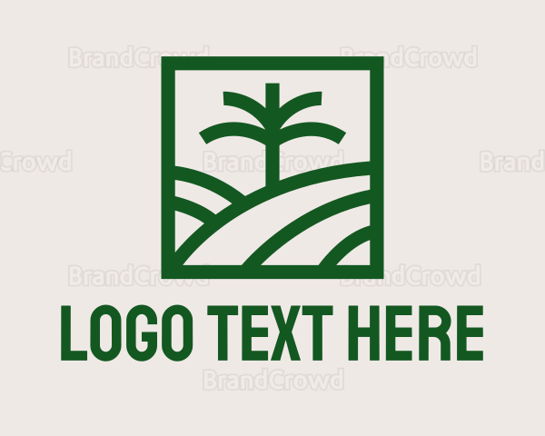 Palm Tree Field Logo