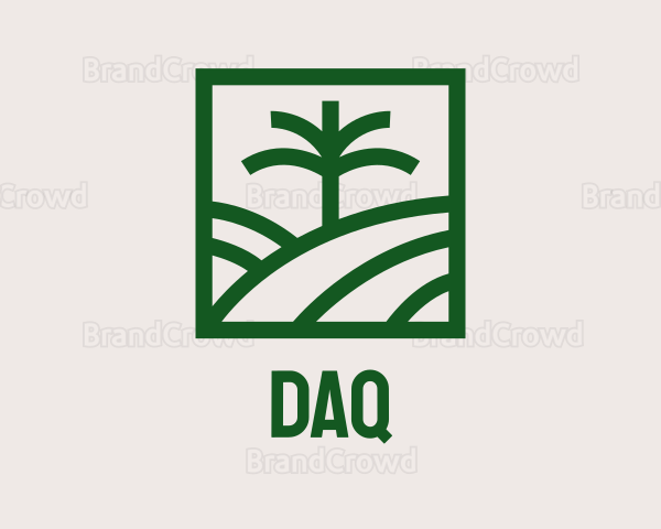 Palm Tree Field Logo
