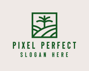 Palm Tree Field logo design