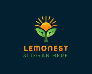 Solar Sun Leaf Logo