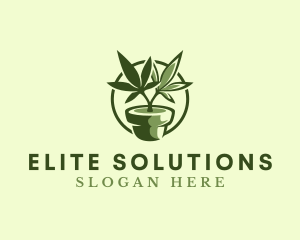 Treatment - Organic Marijuana Plant logo design