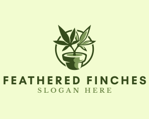 Organic Marijuana Plant logo design