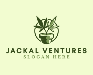 Organic Marijuana Plant logo design