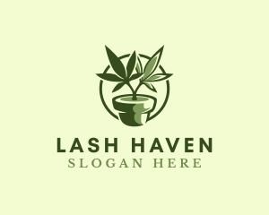 Organic Marijuana Plant logo design