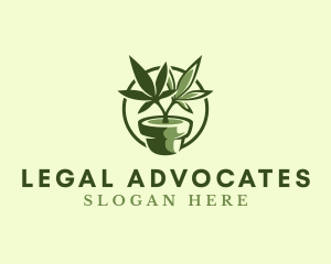 Organic Marijuana Plant logo design