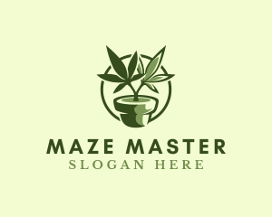 Organic Marijuana Plant logo design