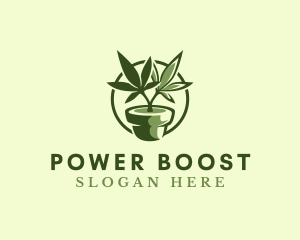 Organic Marijuana Plant logo design