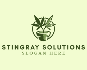 Organic Marijuana Plant logo design