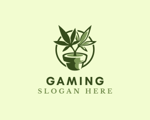 Cbd - Organic Marijuana Plant logo design