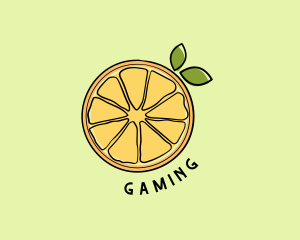 Fresh Orange Slice Logo