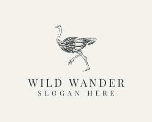 Ostrich Bird Wildlife logo design