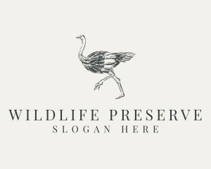 Ostrich Bird Wildlife logo design