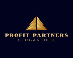 Finance Pyramid Company logo design