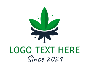 Dispensary - Marijuana Leaf Plant logo design