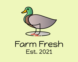 Mallard Duck Farm logo design