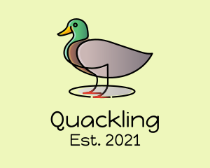 Duckling - Mallard Duck Farm logo design