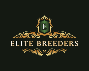 Luxury Decorative Shield logo design