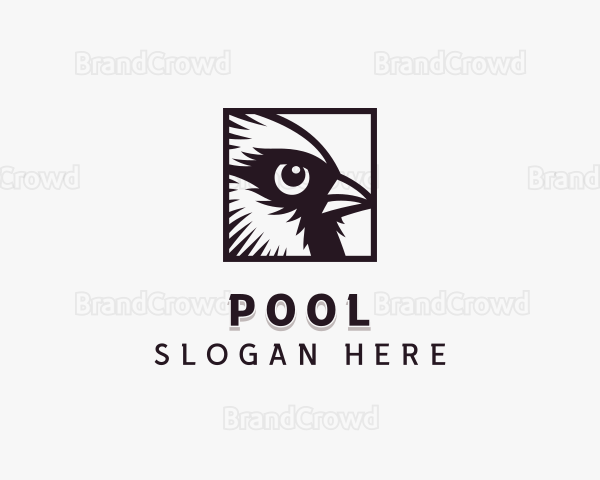 Sparrow Bird Eye Logo