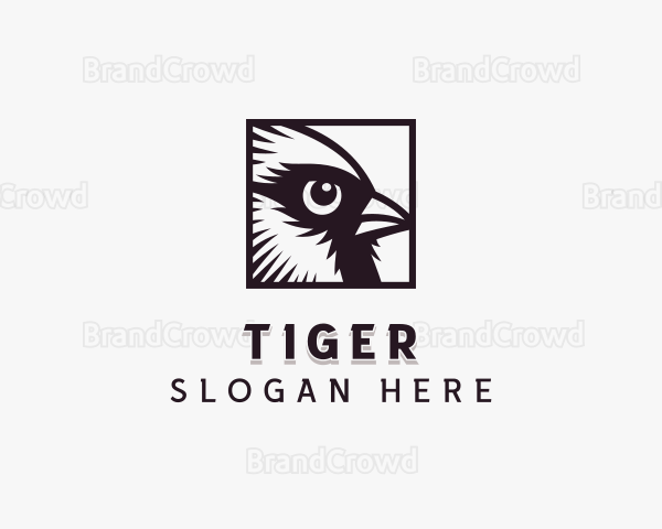 Sparrow Bird Eye Logo
