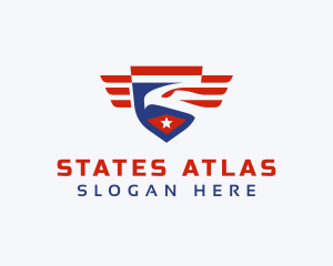 USA Eagle Bird Shield logo design