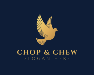 Golden Dove Bird logo design